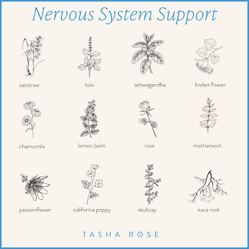 12 Herbs to Support Your Nervous System