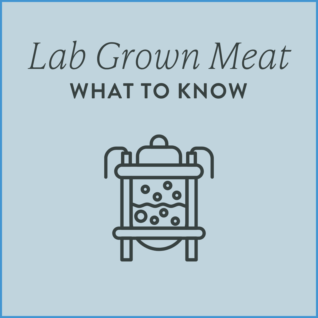 Lab Grown Meat (and Dairy) Have Arrived. What to Know.